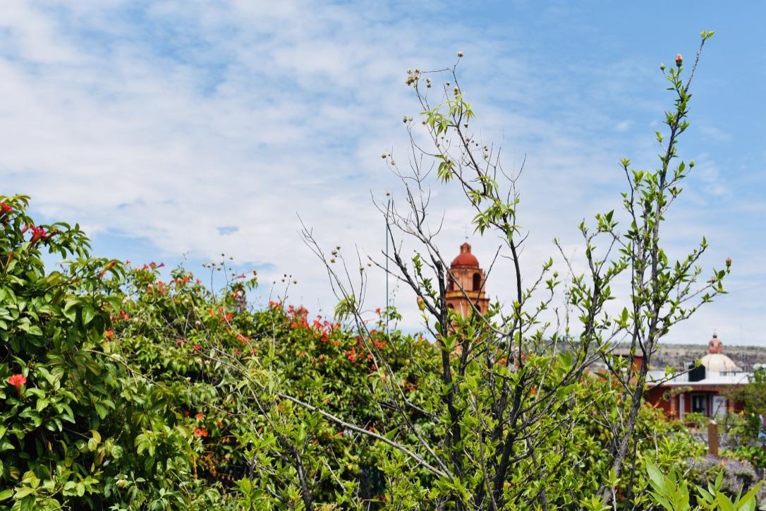Casa Relox 23 Leilighet San Miguel de Allende Eksteriør bilde